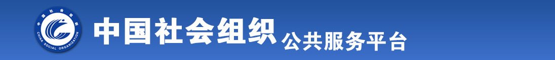 操逼6全国社会组织信息查询